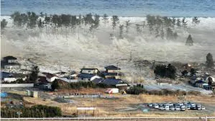 15 ani de la tsunami-ul care a devastat sud-estul Asiei. Comunităţi asiatice comemorează cele 230.000 de victime