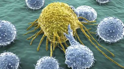 O particulă din sistemul nostru imunitar ar putea trata toate tipurile de cancer
