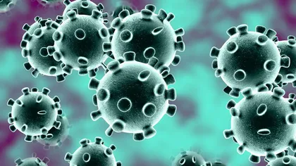 Alertă sanitară. China bagă în carantină oraşe întregi în faţa epidemiei de coronavirus. În Wuhan se va ridica un spital în şase zile