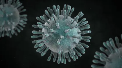 Cercetători din Hong Kong avertizează: Guvernele ar trebui să impună măsuri draconice pentru a limita propagarea coronavirusului