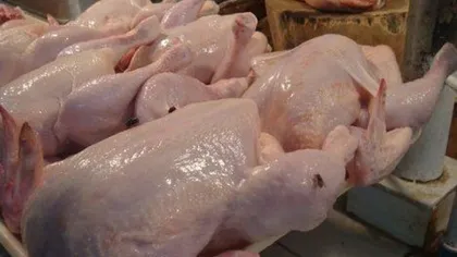 Atenţie români! Carne de curcan infectată cu gripa aviară în depozitele din România