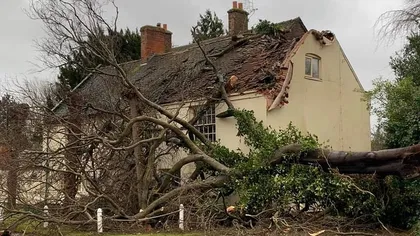 FOTO VIDEO Furtuna Ciara a făcut prima victimă în Anglia. Un copac a căzut pe maşină şi l-a strivit