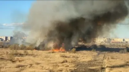 Incendiu la Parcul Naţional Văcăreşti. Suprafața afectată de flăcări, aproape jumătate de hectar