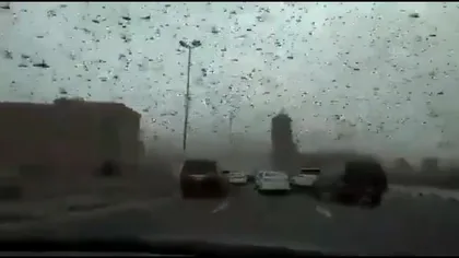 Imagini apocaliptice. O ploaie de lăcuste a transformat ziua în noapte VIDEO