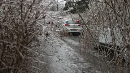 Prăpăd din cauza zăpezii! O ambulanţă a rămas înzăpezită, mai multe maşini au derapat şi copacii au fost rupţi în urma viscolului