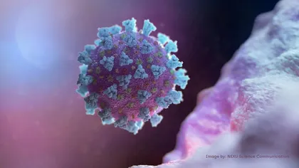 PANDEMIE CORONAVIRUS. Virusul supravieţuieşte în plămânii pacienţilor decedaţi