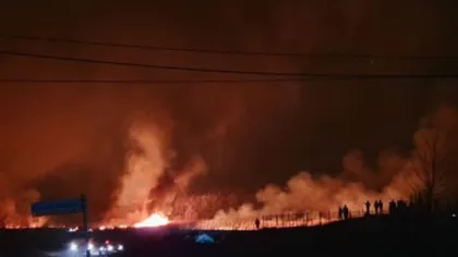 Incendiu violent în Pădurea Scroviştea. Zeci de pompieri de luptă cu flăcările VIDEO