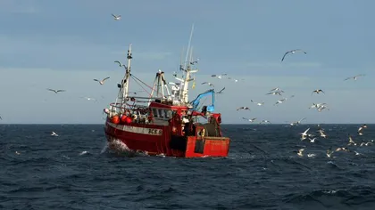 Divergenţe importante între UE şi Marea Britanie. Problema pescuitului provoacă tensiuni în ambele tabere