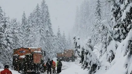 Ninge ca-n poveşti în România. Peisaje de iarnă în mai multe judeţe la început de martie