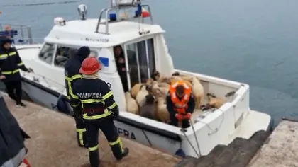 Oile de pe nava scufundată în Portul Midia sunt scoase din epavă. Au fost recuperate aproape 3.000 de cadavre VIDEO