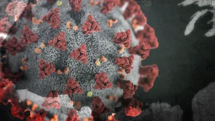 Un cercetător aruncă bomba despre coronavirus. Cine l-a creat şi cum s-ar fi produs prima infecţie umană