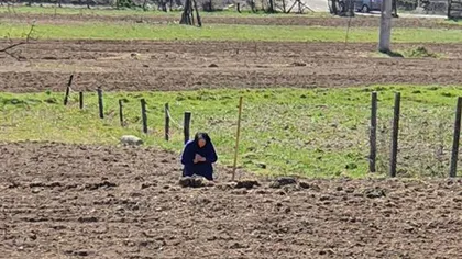 Fotografia cu bătrâna care se roagă în mijlocul câmpului, virală pe internet. 