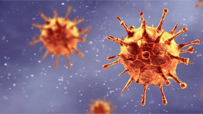 Coronavirus în Statele Unite. Peste 10.000 de decese în statul New York din cauza COVID-19