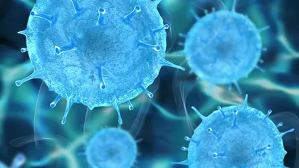 Oamenii de ştiinţă au descoperit cum ne infectăm cu coronavirus