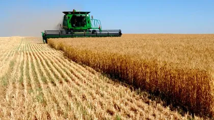 România exportă cel mai mult grâu pe pieţele extra-europene. Egiptul este pe primul loc