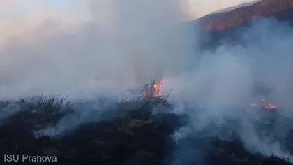 Incendiu de vegetaţie uscată în Valea Doftanei. 250 de hectare au fost cuprinse de flăcări