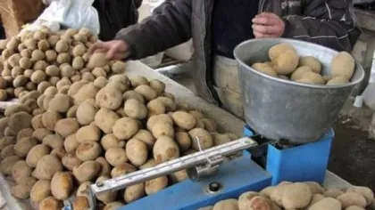 România rămâne fără cartofi! Producţia a scăzut cu peste 90%! Cum s-a ajuns în situaţia asta?