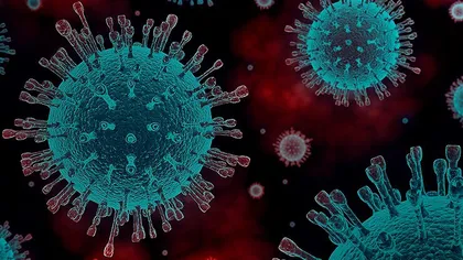 INSP: 9 din 10 români morţi de coronavirus aveau cel puţin o altă afecţiune