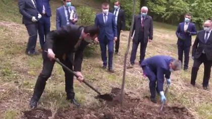 Orban a plantat un copac, deşi a observat că stejarul era bine înrădăcinat. Marcel Vela a distribuit clipul şi apoi l-a şters VIDEO