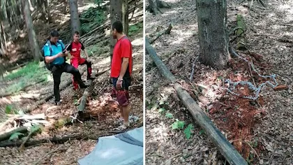 Un tânăr din Dolj l-a legat cu lanţul de un copac şi a aruncat cheia. 