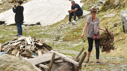 Gest SCANDALOS în Argeş. O femeie a smuls o tufă de bujori de munte - specie protejată. 