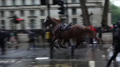 Haos la Londra, la protestele pentru George Floyd. Imagini greu de privit, manifestanţi aruncă în caii poliţiei cu biciclete VIDEO