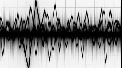 Val de cutremure în Vrancea. Ce magnitudine au avut