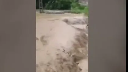 Inundaţiile au făcut prăpăd! Zeci de gospodării din Maramureş au fost distruse VIDEO