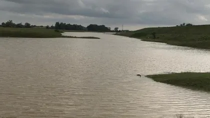 COD PORTOCALIU ŞI GALBEN de inundaţii pe mai multe râuri UPDATE