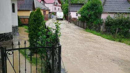 O ploaie torenţială a inundat mai multe străzi, drumuri şi gospodării în municipiul Sighetu Marmaţiei FOTO VIDEO