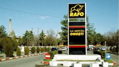 Gruia Stoica a cumpărat platforma RAFO Oneşti. Vrea să dezvolte cel mai mare centru logistic pentru containere şi produse petroliere