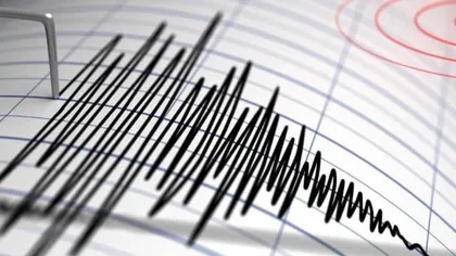 Cutremur în Vrancea, duminică dimineaţa. Ce magnitudine a avut seismul