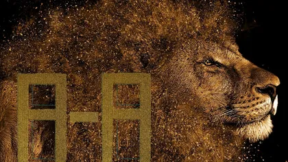 8 august 2020. Portalul Leului se activeaza! Codurile trezirii spirituale!