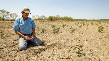 Ajutoare de stat, acordate fermierilor afectaţi de secetă. Legea a fost promulgată de preşedintele Klaus Iohannis