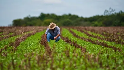Guvernul a adoptat o hotărâre prin care tinerii fermieri pot beneficia de pană la 50 de hectare concesionate din proprietatea statului