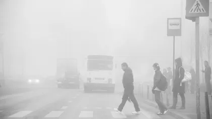 Cod GALBEN de ceaţă în România. Vizibilitatea este redusă sub 200 de metri