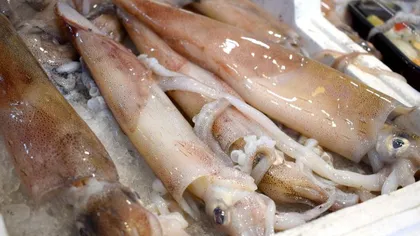 China este în alertă! Pachete cu calamari importate din Rusia, cu urme de coronavirus