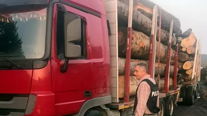 Un primar din Argeş a fost prins la volanul unui camion cu lemne furat. Explicaţia şocantă a edilului: Eram în afara programului