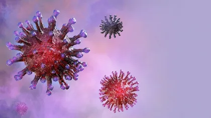 Avertismentul cumplit al unui om de ştiinţă: Noul coronavirus nu va putea fi eradicat niciodată