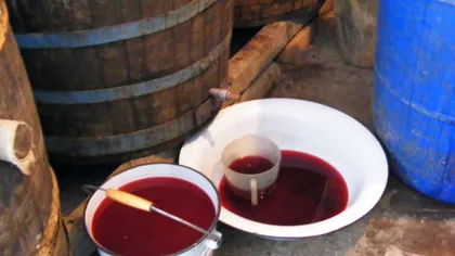 Avertismentul autorităţilor: Vinul produs în condiţii casnice, pericol pentru români