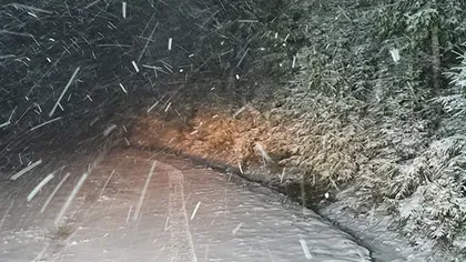Au venit ninsorile în România. Şoferii au circulat în condiţii de iarnă