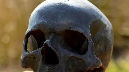 Descoperire macabră la Iaşi. Craniu uman, găsit de un copil pe câmp
