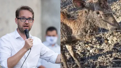 Decizie radicală. Dominic Fritz închide grădina zoo din Timișoara: ”Animalele nu pot trăi în aceste habitate”