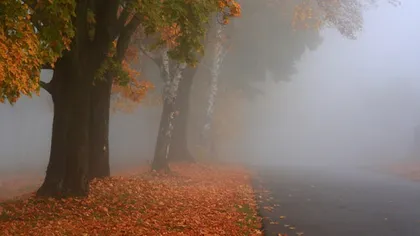 Cod GALBEN de ceaţă în România. Judeţele unde vizibilitatea scade sub 50 de metri