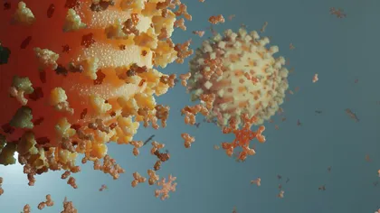 Mutaţia virusului Covid 19 este cu 50% mai severă şi este rezistentă la anticorpi