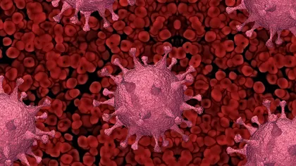 Oamenii de ştiinţă avertizează asupra virusului care ar putea provoca o nouă pandemie: 
