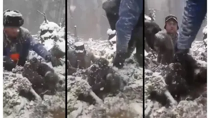 Ce s-a întâmplat cu puii de urs scoşi din bârlog şi aruncaţi în zăpadă. Anunţul ministrului Mediului
