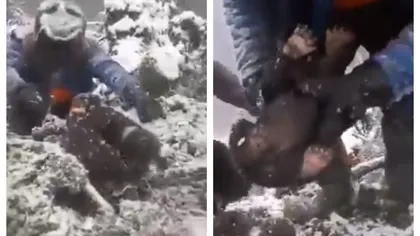 Pui de urs scoşi din bârlog şi aruncaţi în zăpadă. Imagini revoltătoare în Harghita