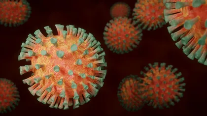 O nouă mutaţie a coronavirusului face ravagii în Mexic. Ramirez: 