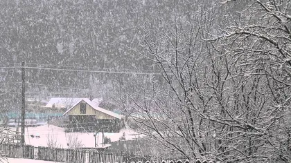 Continuă ninsorile în România. Zonele în care se va depune strat consistent de zăpadă